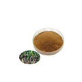 Organic Dandelion Root TBC